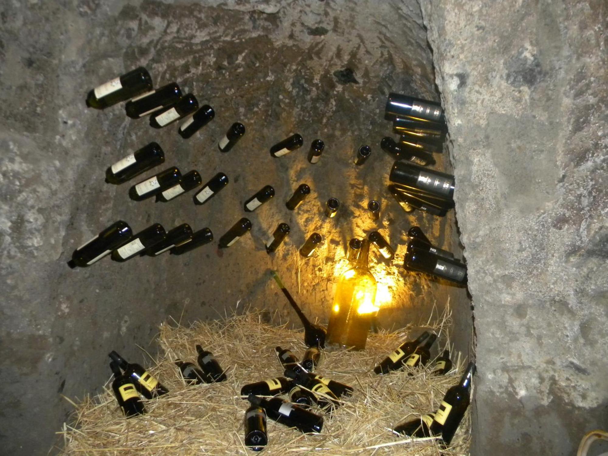 Agriturismo La Colombaia Capua Εξωτερικό φωτογραφία