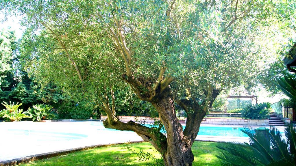 Agriturismo La Colombaia Capua Εξωτερικό φωτογραφία